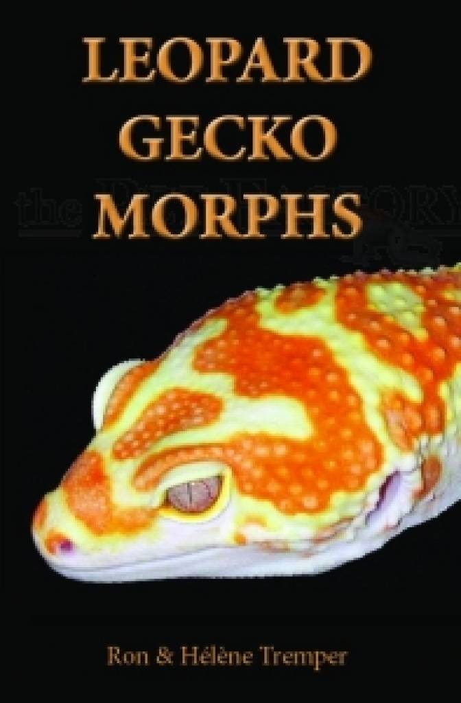 Leopard Gecko Morphs